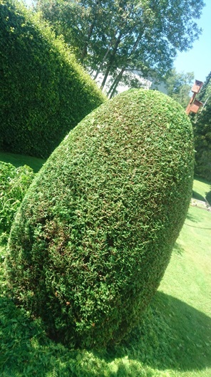 NW-Dienstleistungen - Garten- und Landschaftspflege Allgäu