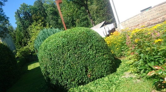 NW-Dienstleistungen - Garten- und Landschaftspflege Allgäu