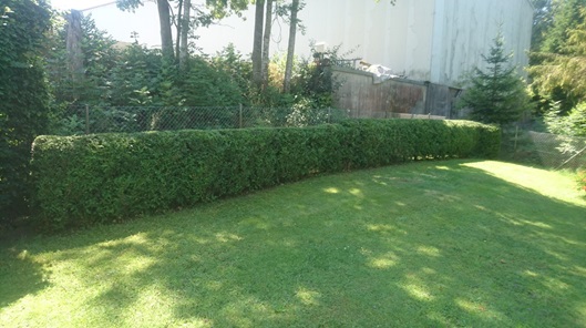NW-Dienstleistungen - Garten- und Landschaftspflege Allgäu