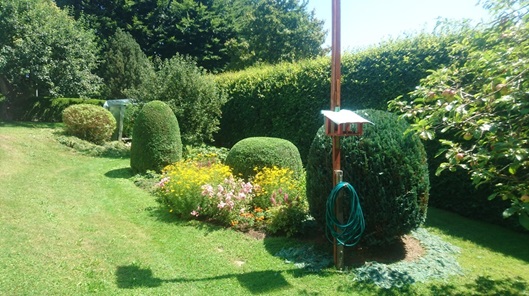 NW-Dienstleistungen - Garten- und Landschaftspflege Allgäu