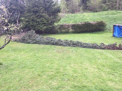 NW-Dienstleistungen - Garten- und Landschaftspflege Allgäu
