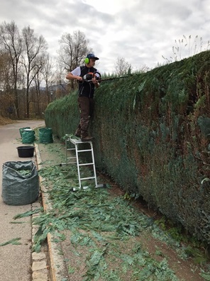 NW-Dienstleistungen - Garten- und Landschaftspflege Allgäu