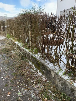 NW-Dienstleistungen - Garten- und Landschaftspflege Allgäu