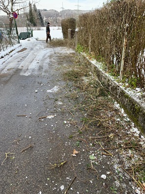 NW-Dienstleistungen - Garten- und Landschaftspflege Allgäu