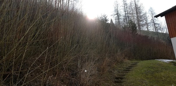 NW-Dienstleistungen - Garten- und Landschaftspflege Allgäu