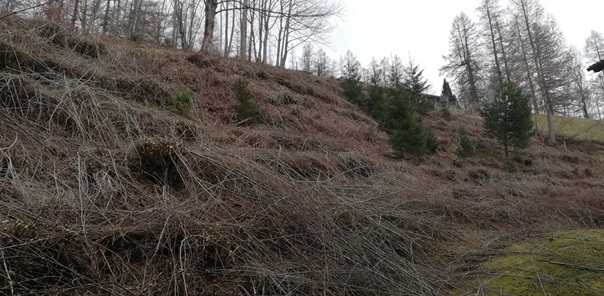 NW-Dienstleistungen - Garten- und Landschaftspflege Allgäu