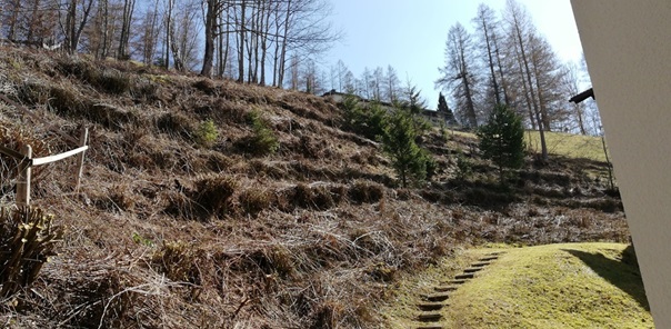 NW-Dienstleistungen - Garten- und Landschaftspflege Allgäu