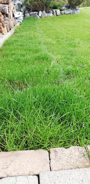 NW-Dienstleistungen - Garten- und Landschaftspflege Allgäu