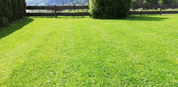 NW-Dienstleistungen - Garten- und Landschaftspflege Allgäu