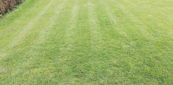 NW-Dienstleistungen - Garten- und Landschaftspflege Allgäu