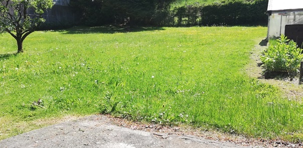 NW-Dienstleistungen - Garten- und Landschaftspflege Allgäu