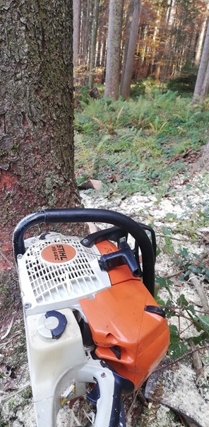 NW-Dienstleistungen - Garten- und Landschaftspflege Allgäu