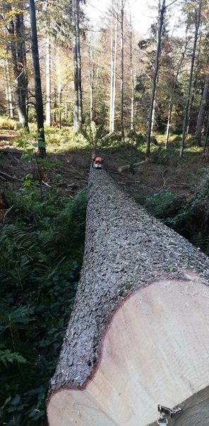 NW-Dienstleistungen - Garten- und Landschaftspflege Allgäu