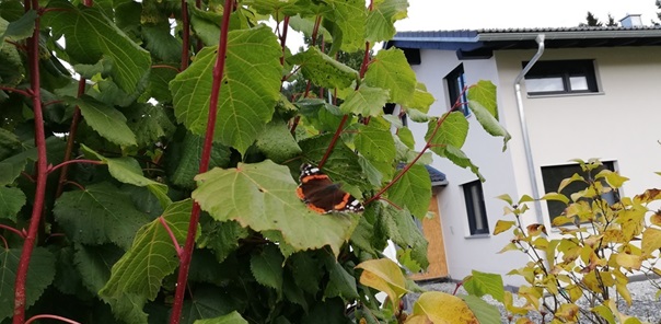 NW-Dienstleistungen - Garten- und Landschaftspflege Allgäu