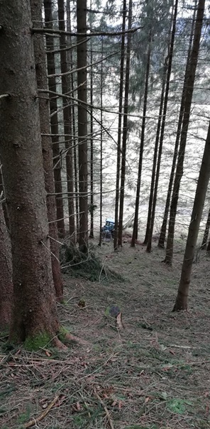 NW-Dienstleistungen - Garten- und Landschaftspflege Allgäu