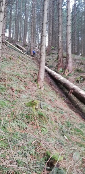 NW-Dienstleistungen - Garten- und Landschaftspflege Allgäu