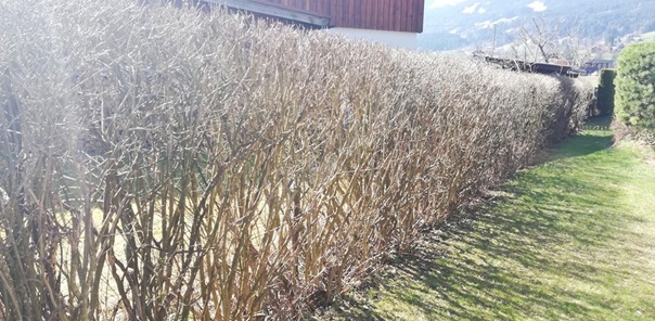 NW-Dienstleistungen - Garten- und Landschaftspflege Allgäu