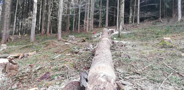 NW-Dienstleistungen - Garten- und Landschaftspflege Allgäu