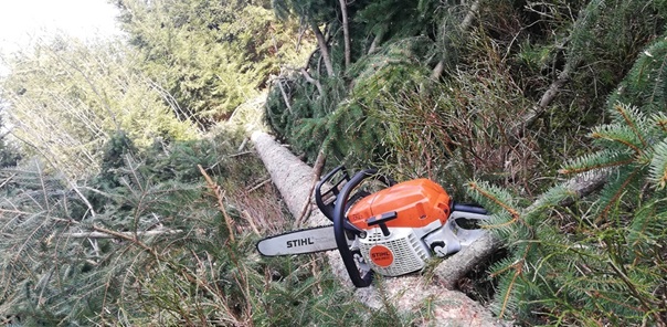 NW-Dienstleistungen - Garten- und Landschaftspflege Allgäu