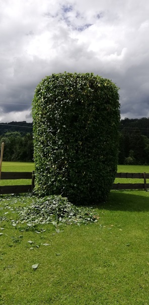 NW-Dienstleistungen - Garten- und Landschaftspflege Allgäu