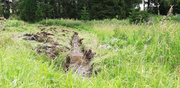 NW-Dienstleistungen - Garten- und Landschaftsbau Allgäu