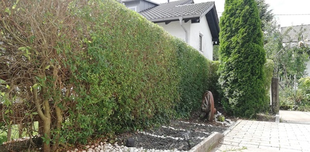 NW-Dienstleistungen - Garten- und Landschaftspflege Allgäu