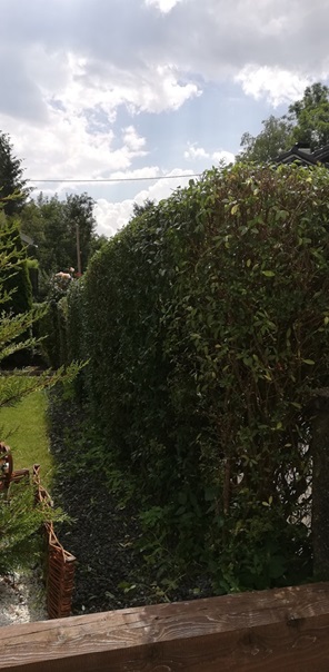 NW-Dienstleistungen - Garten- und Landschaftspflege Allgäu
