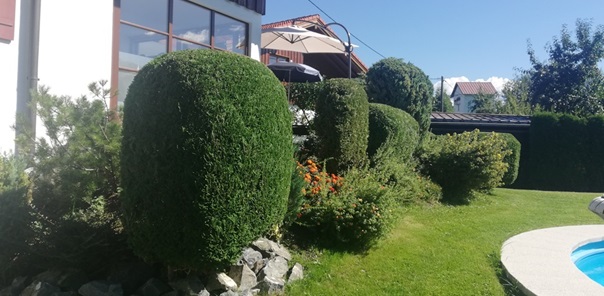 NW-Dienstleistungen - Garten- und Landschaftspflege Allgäu