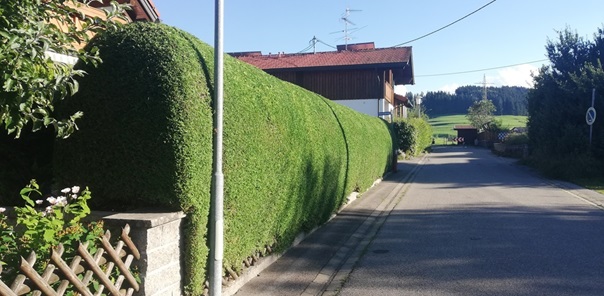 NW-Dienstleistungen - Garten- und Landschaftspflege Allgäu