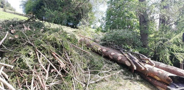 NW-Dienstleistungen - Garten- und Landschaftspflege Allgäu