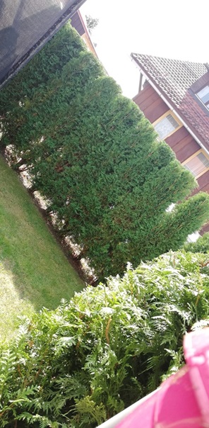 NW-Dienstleistungen - Garten- und Landschaftspflege Allgäu