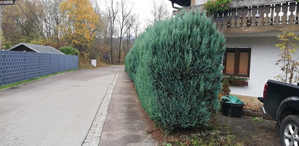 NW-Dienstleistungen - Garten- und Landschaftspflege Allgäu