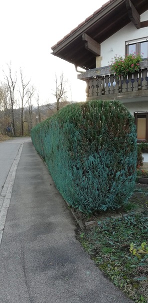 NW-Dienstleistungen - Garten- und Landschaftspflege Allgäu