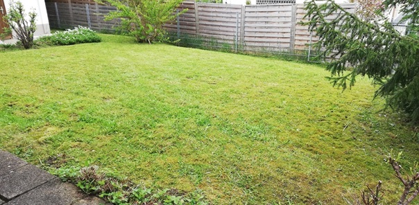 NW-Dienstleistungen - Garten- und Landschaftspflege Allgäu