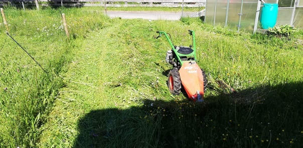 NW-Dienstleistungen - Garten- und Landschaftspflege Allgäu