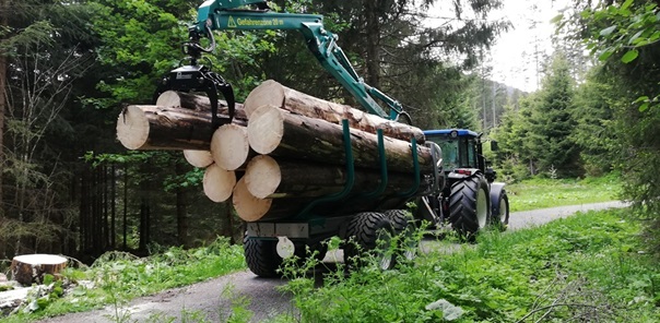 NW-Dienstleistungen - Garten- und Landschaftspflege Allgäu