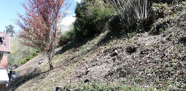 NW-Dienstleistungen - Garten- und Landschaftspflege Allgäu