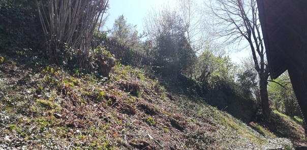 NW-Dienstleistungen - Garten- und Landschaftspflege Allgäu