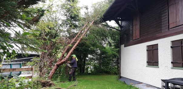 NW-Dienstleistungen - Garten- und Landschaftspflege Allgäu