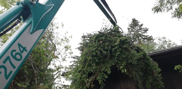 NW-Dienstleistungen - Garten- und Landschaftspflege Allgäu