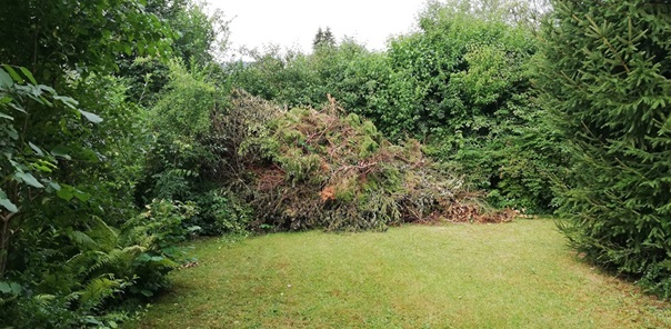 NW-Dienstleistungen - Garten- und Landschaftspflege Allgäu