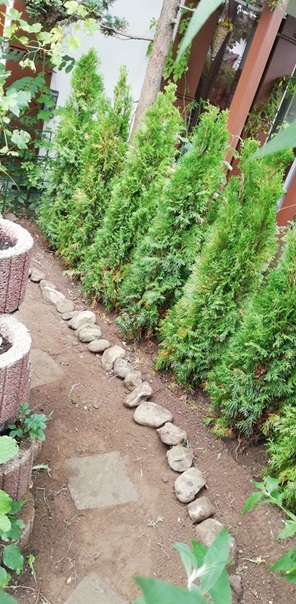 NW-Dienstleistungen - Garten- und Landschaftsbau Allgäu