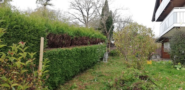 NW-Dienstleistungen - Garten- und Landschaftspflege Allgäu