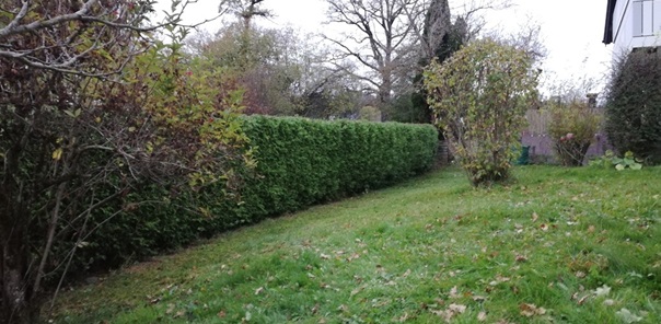 NW-Dienstleistungen - Garten- und Landschaftspflege Allgäu