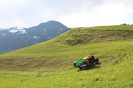 NW-Dienstleistungen - Garten- und Landschaftsbau Allgäu
